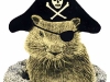 groundhog-pirate2