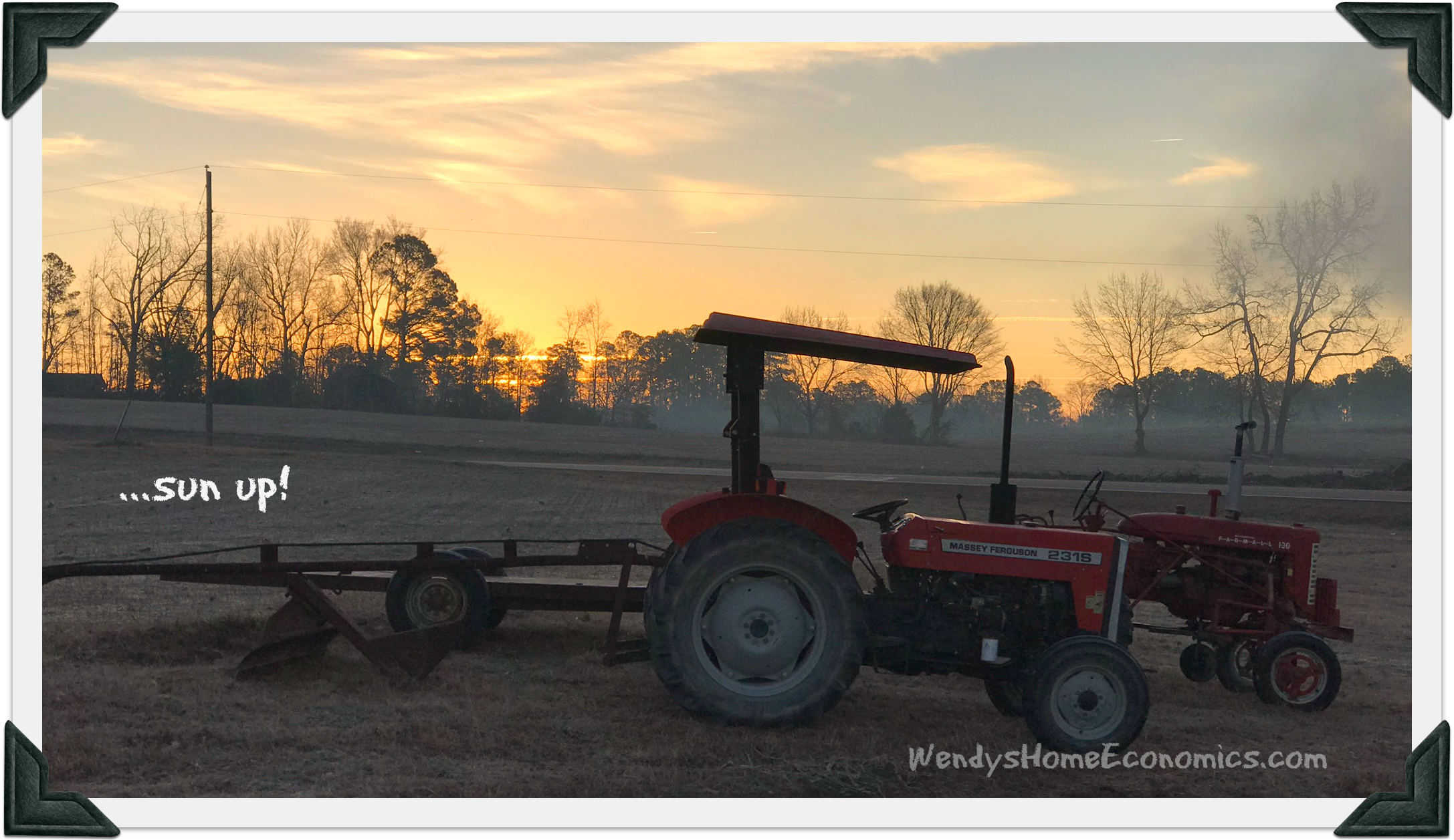 Sun up on Jackson Farm