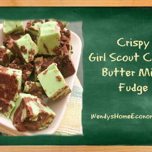 Crispy Girl Scout Cookie Butter Mint Fudge Wendy's HOME EConomics!